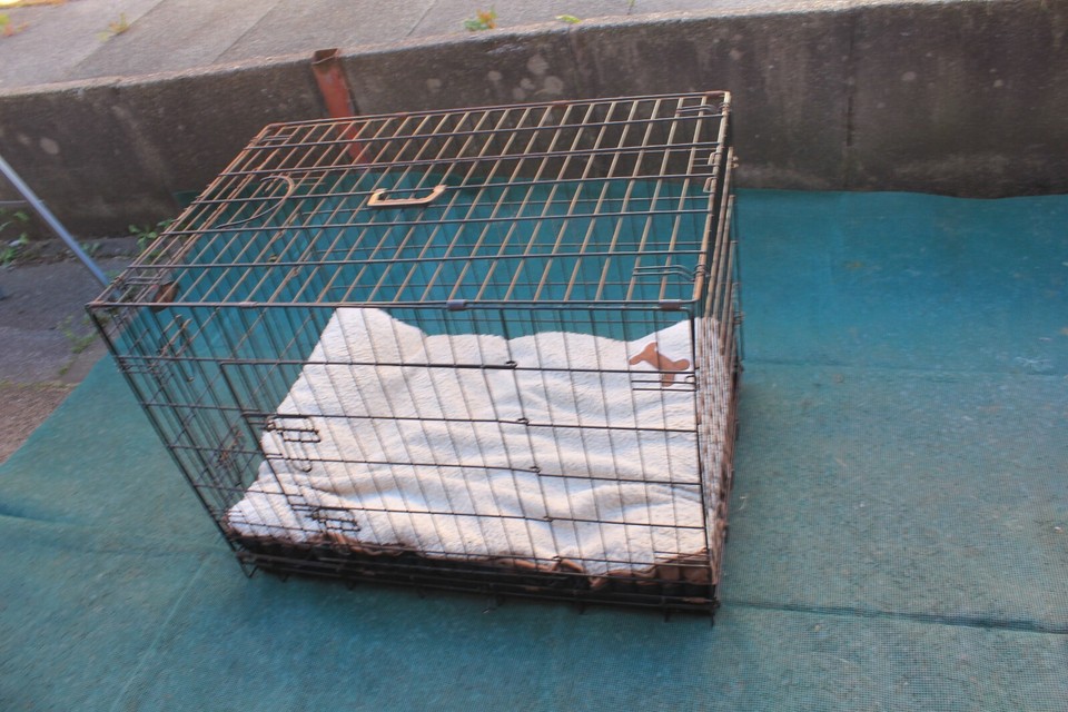 Dog Cage Puppy Training Crate Small Pet Carrier Medium Large Metal