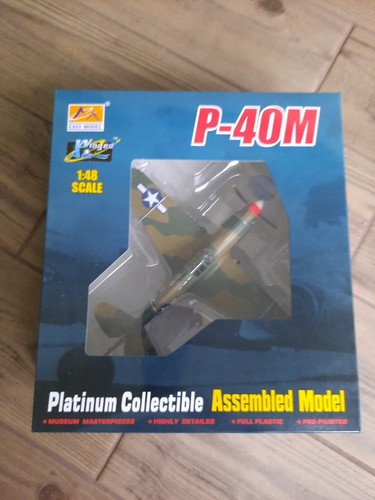 Easy Model 39313 1/700 P-40M China Front 1945