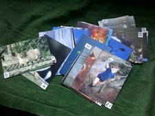 CAMERA WEEKLY Cards Joblot X35 Nature landscape people glamour etc