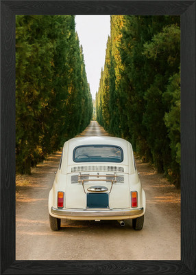 Vintage car on cypress tree road Framed Wall Art Poster Canvas Print Picture