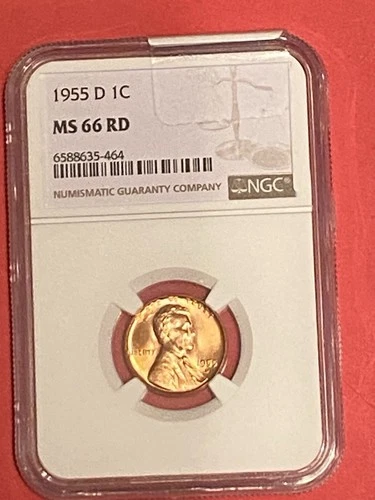 1955 D Lincoln Cent MS66 RD NGC Wheat Penny