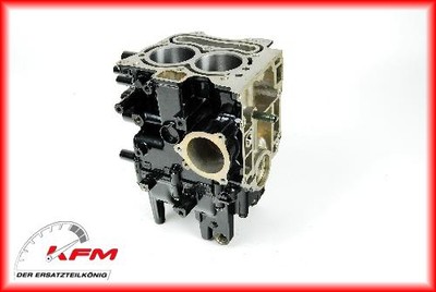 Suzuki Outboard DF Kurbelgehäuse Motorgehäuse Zylinder BLOCK ASSY CYLINDER Neu