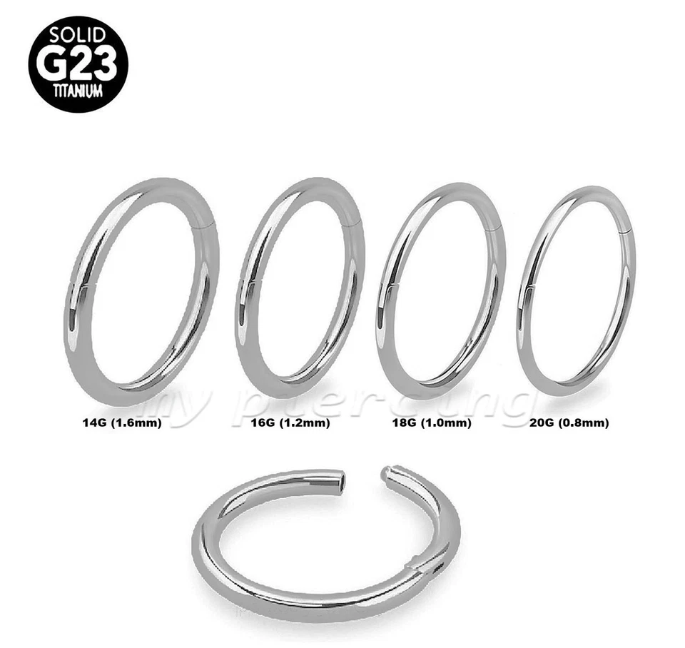 Anillo de segmento sin costuras con bisagras de titanio G23 nariz aro pendiente anillo de tabique Labret Foto 2 de 4