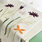 Foto 6 di 10