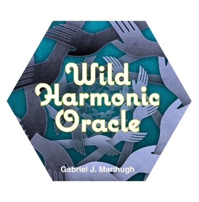 Wilde harmonische Orakelkarten von Gabriel Marihugh NEU Mehrkomponenten Einzelhandel P