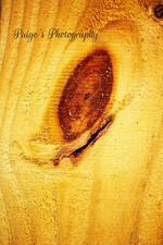 digital image picture wallpaper art wood up close photo by Paige