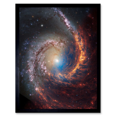 NASA Hubble James Webb Telescope Spiral Galaxy NGC 1566 Framed Art