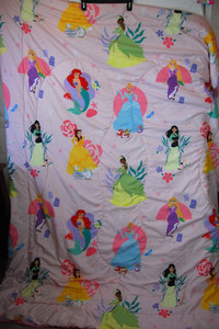 Disney Princess Always Inspire Kids Reversible Twin XL Comforter AB09CG1P9LH8