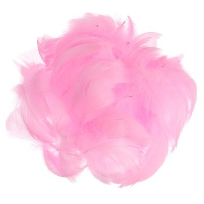 120 Pcs Dark Pink Craft Goose Feathers Bulk 2.4-4.7 Inch for Crafting