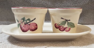 Pfaltzgraff  Delicious 3 Piece Set of 2 Herb Pots with Tray