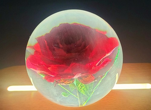 60mm Real Red Rose in Lucite Resin June Birth Month Flower, Mother's Day Gift - Picture 2 of 10