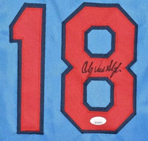 Andy Van Slyke Signed St Louis Blue Baseball Jersey (JSA) - Picture 3 of 3