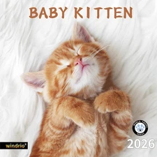 2026 Wall Calendar Baby Kittens Nov 2025–Dec 2026, 12" x 24" Cute Cats