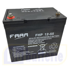 FAAM FHP12-55 Batteria AGM VRLA 12V 55 Ah 20HR Piombo ABS Terminale M6