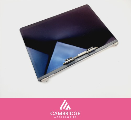 Schlechtes MacBook Pro 13" A1706 A1708 LCD Bildschirm Display Einheit grau gesprungene Blende