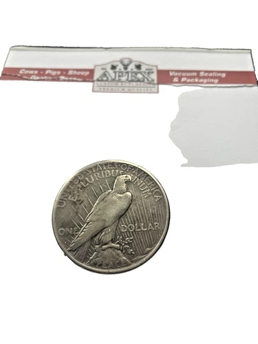 1922 Liberty Peace One Dollar Silver Coin Vintage