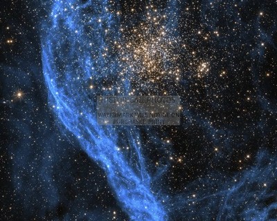 NGC 1850 STAR CLUSTER HUBBLE VIEW 8X10 PHOTO