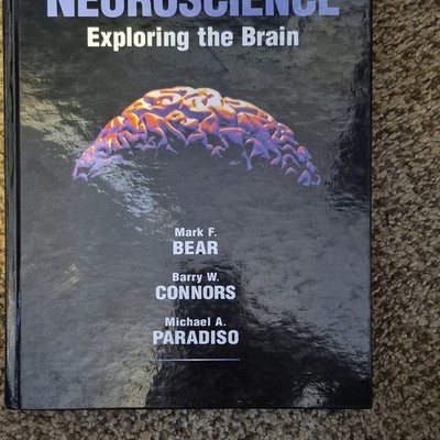 Neuroscience: Exploring the Brain by Bear, Connors, Paradiso Hardcover English