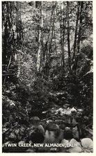 Postcard CA New Almaden California Twin Creek Unused Vintage PC e2466