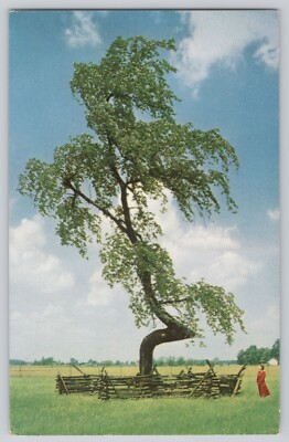 #ad Indian Trail Marker Tree Postcard SOHIO Standard Oil Upper Sandusky Chrome $3.99