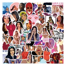 110Pcs Megan Thee Stallion Stickers for Phone Case bottles laptop Waterproof
