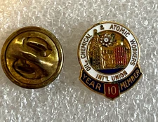 Vintage Oil, Chemical & Atomic Workers Int'l Union 10 Year Member Pin. (33)