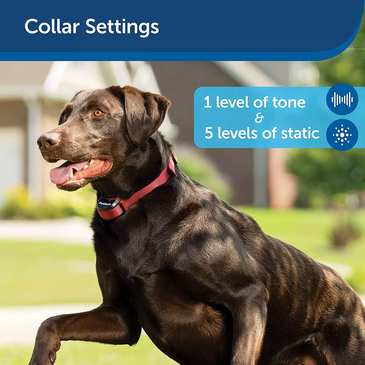 Petsafe stubborn dog collar settings sales