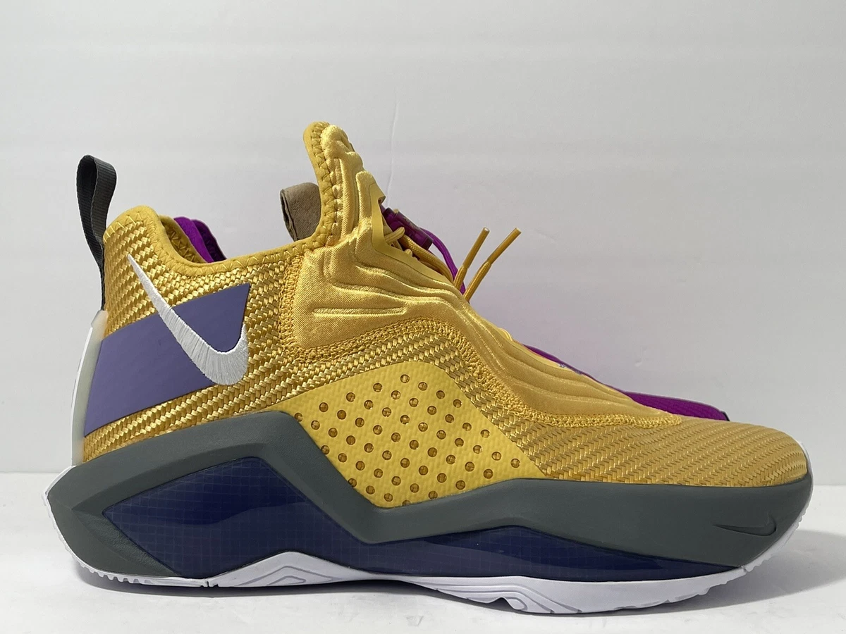 Lebron 14 hotsell purple