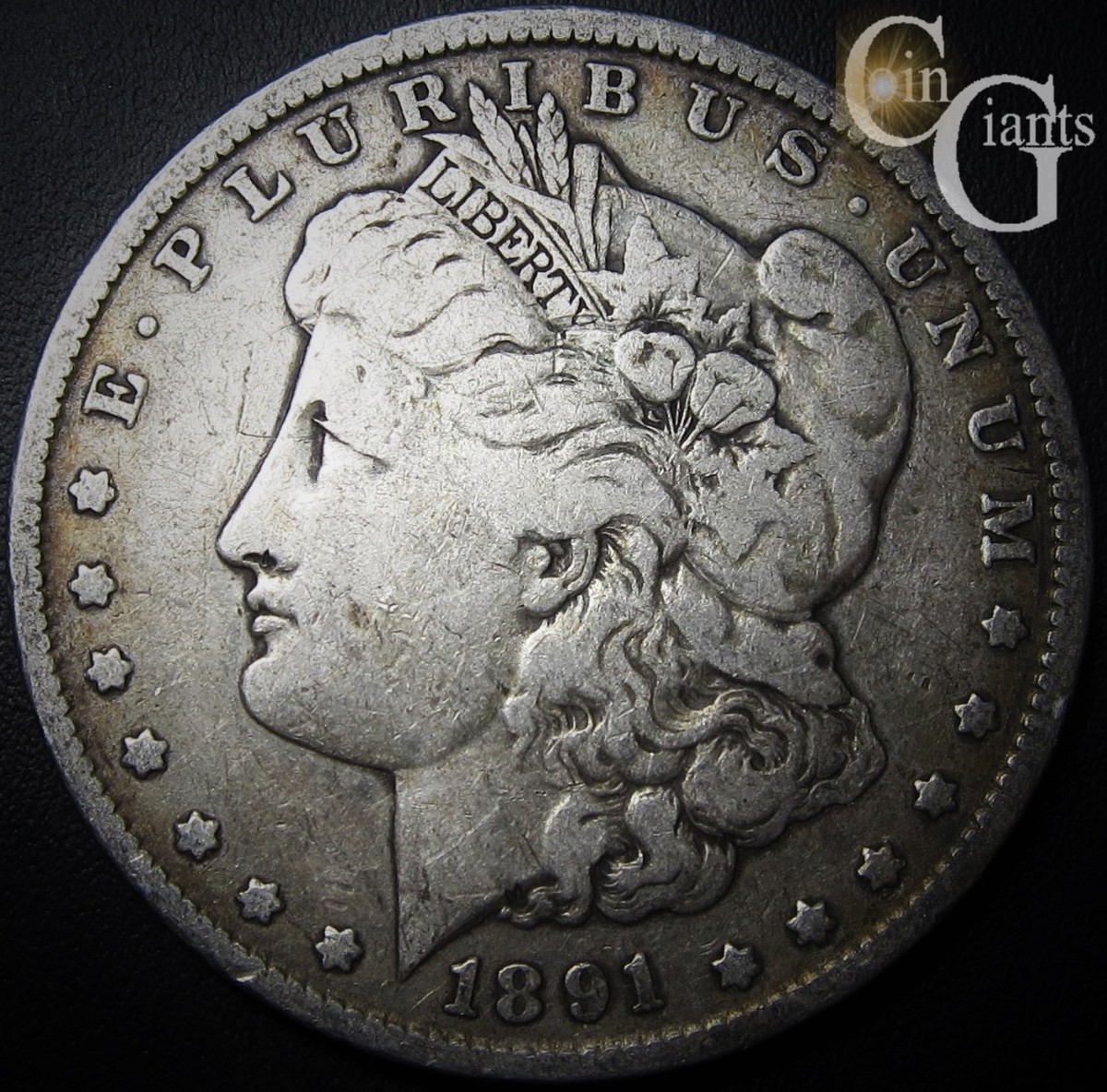1891-P Morgan Silver Dollar VAM-2 Doubled Ear TOP 100 Philadelphia