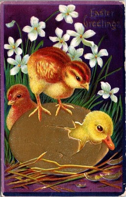 Easter Greetings, Chicks on Hatching Duck Golden Egg c1912  Postcard A101