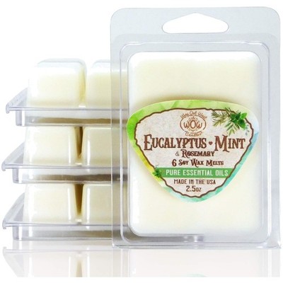 Eucalyptus Mint Scented Wax Melts - 24 Luxe Melt Cubes for Lasting Freshness