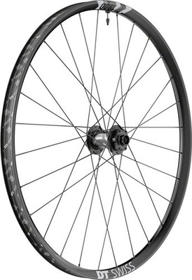 DT Swiss F 1900 Classic Front Wheel - 29'', 20 x 110mm DH Boost, 6-Bolt, Black