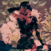 Modern Vices - Cd - F600Z