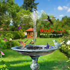 Bild 3 von 12
