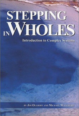 Stepping in Wholes : Introduction to Complex Systems Paperback