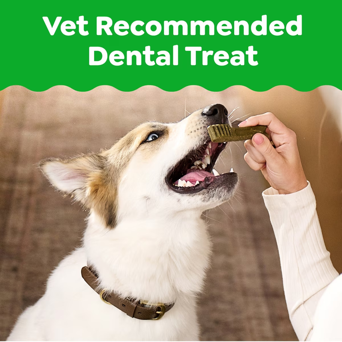 Greenies Petite Natural Original Chicken Flavor Dental Dog Treats, 90 count