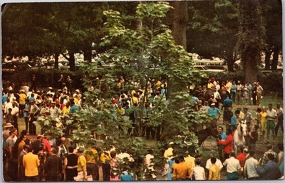 Saratoga Postcard Vintage Race Track Paddock Crowd Paul Art Press C20