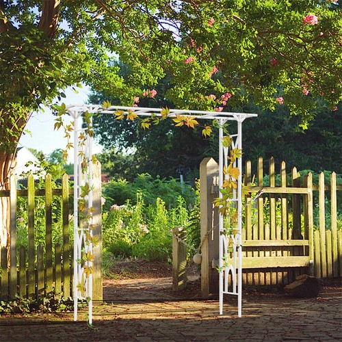 Metal Garden Heavy-Duty Arch Arbor Trellis Archway for wedding Climbing Plants - Picture 9 of 14
