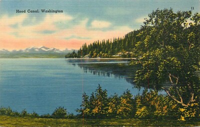 Postcard Washington State Hood Canal Linen Unposted | eBay