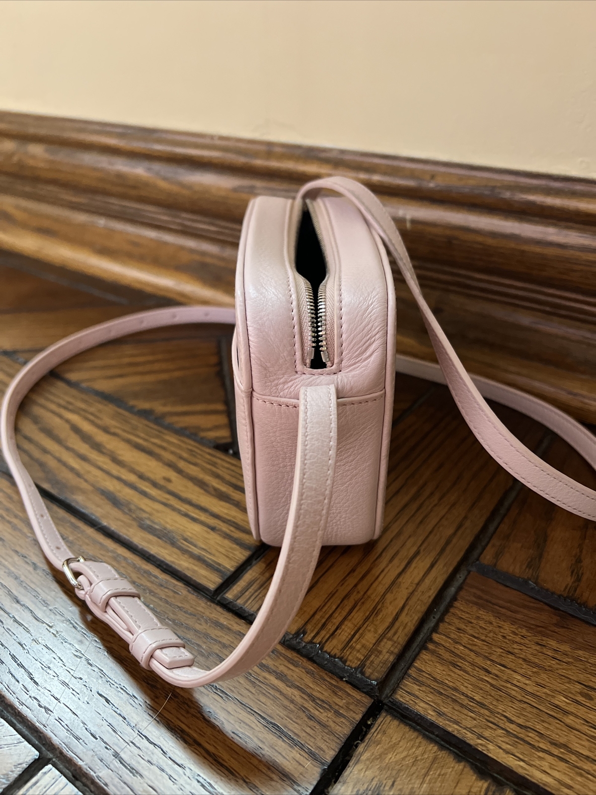 balenciaga camera bag pink