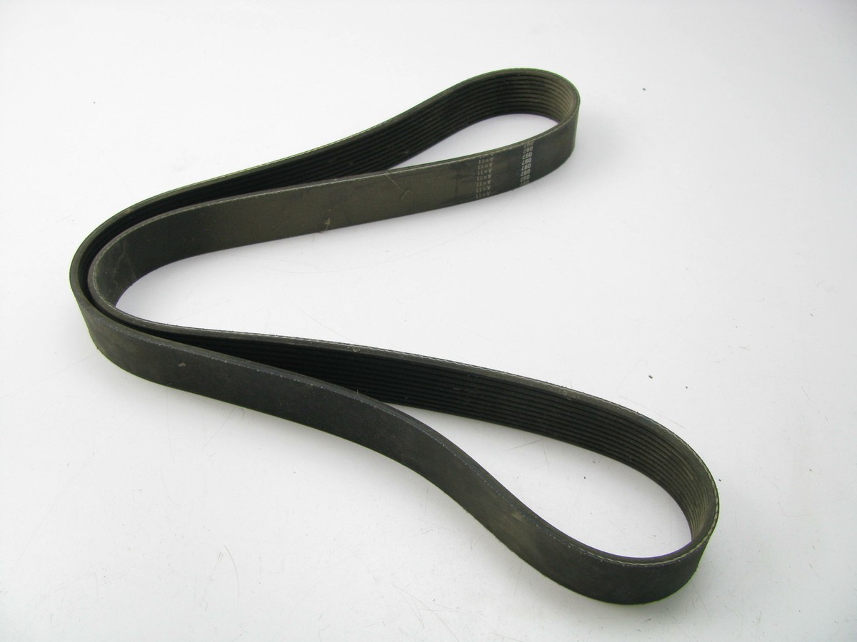 New Genuine OEM Volvo 982356 Engine Serpentine Belt K100579 | eBay