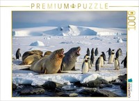 Calvendo Puzzle Large, Gray, Cheerful. | 1000 Pieces, Finished Size 25.2 × 18.9