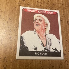 2023 SportKings Volume 4 Mini Ric Flair #141 Wrestling Parallel Card WWE WWF WCW