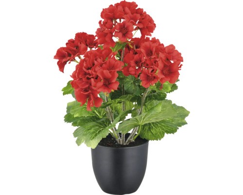Kunstpflanze Geranienbusch H 36 Cm Rot-image