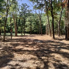 UNRESTRICTED LAND FOR SALE IN ALBA, TX