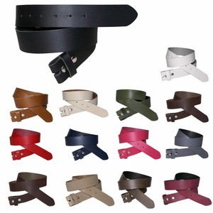 interchangeable belt buckle strap
