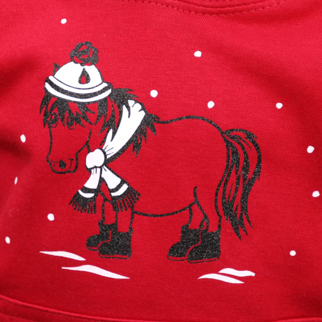 Felpa con cappuccio scintillante British Country Collection Natale pony neve