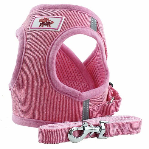 Breathable Small Dog Cat Pet Mesh harness Vest Collar Chest Strap + Leash XS-XL - Picture 15 of 16