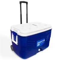 KüHlbox Thermobox KüHltasche Camping KüHlschrank Eisbox KüHlkiste Mit RäDern 62L