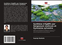 Supraja Nookala | SynthèSe D'agnps Par Sargassum Muticum Et Gymnema Sylvestre